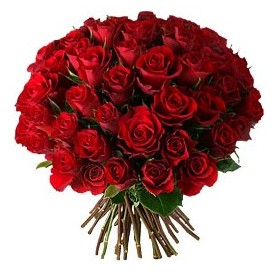  33 adet k�rm�z� g�l buketi