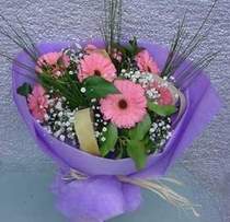  9 adet gerbera g�zel �i�egi