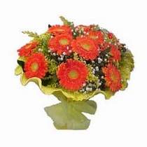  11 adet se�me gerbera �i�egi