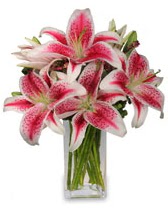 Vazo içerisinde 5 dal kazablanka çiçeği  Ulus Ankara yurtiçi ve yurtdışı çiçek siparişi 