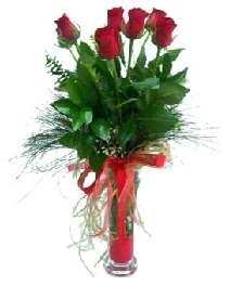 vazo içerisinde 5 kırmızı gül  Ulus Ankara çiçek , çiçekçi , çiçekçilik 