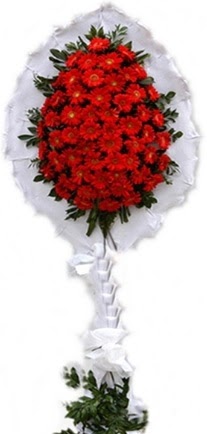 Tekli D���n nikah ��yeri a��l�� �i�e�i 