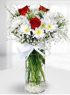 3 k�rm�z� g�l ve krizantemler camda  Ulus Ankara �i�ek�i telefonlar� 