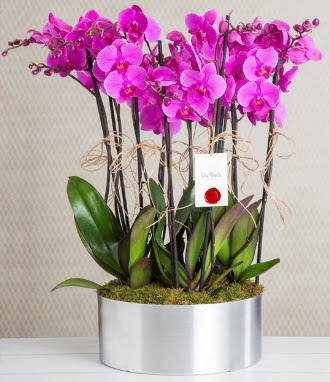 11 dallı mor orkide metal vazoda 