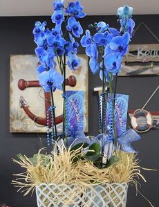 4 dallı özel mavi orkide  Ulus Ankara çiçek mağazası , çiçekçi adresleri 