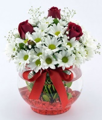 Fanusta 3 Gül ve Papatya  Ulus Ankara hediye sevgilime hediye çiçek  