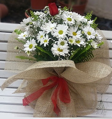 Papatya 1 adet kırmızı gül buketi  Ulus Ankara çiçek online çiçek siparişi 